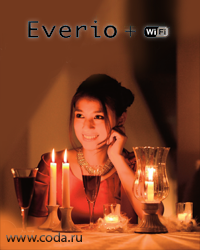 Видеокамеры JVC Everio